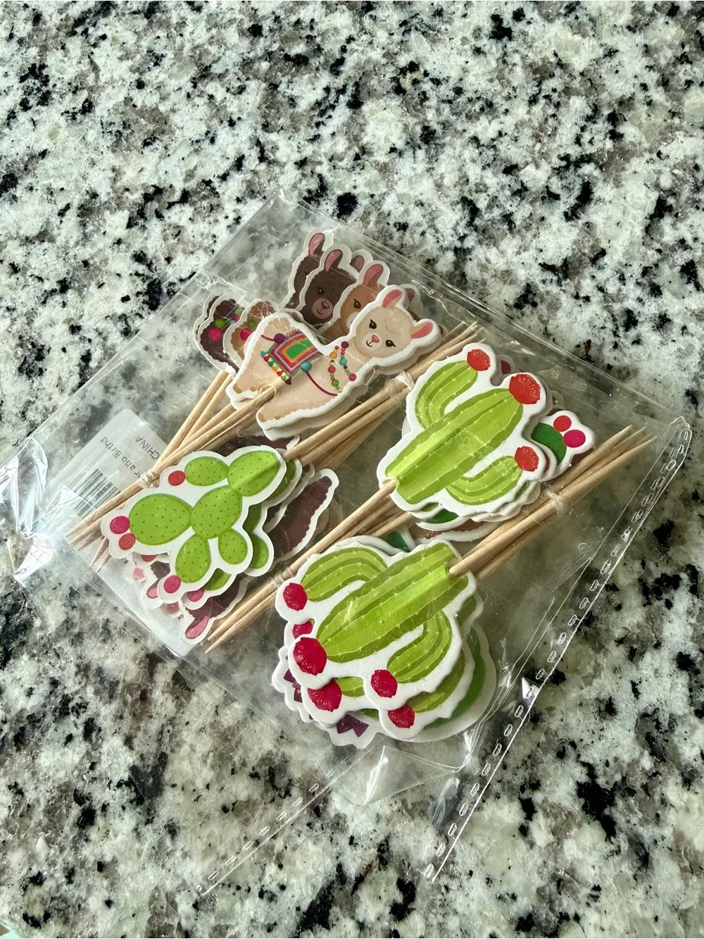 Llama party decorations